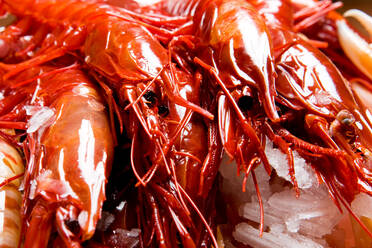 Shiny cooked red craw fishes with claws and feelers in soft focus - ADSF05131