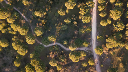 Aerial Kreuzung von zwei Straßen im Sommer grüne Bäume auf Sonnenuntergang in der Natur - ADSF05259