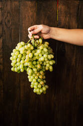 Hand of anonymous woman holding big bunch of fresh grapes near dark wooden wall - ADSF05266