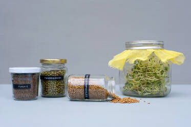 Gläser mit verschiedenen Samen, Bohnen und Sprossen - GISF00628