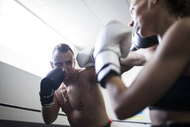 Boxing partners fighting in gym - ADSF05312