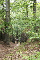 Ansicht aus mittlerer Entfernung eines älteren Mannes im Thüringer Wald, Deutschland - GWF06646