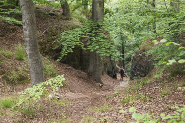 Mittelansicht eines älteren Mannes beim Spaziergang im Thüringer Wald, Deutschland - GWF06647