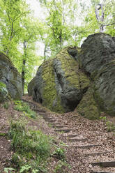 Schritte inmitten von Felsformationen vor Bäumen im Thüringer Wald, Deutschland - GWF06649