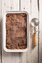 Homemade chocolate ice cream - ADSF05594