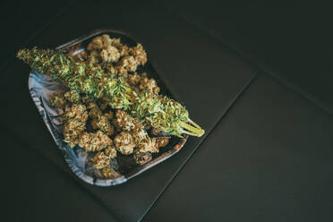 Marihuana oder Cannabispflanze - ADSF05674