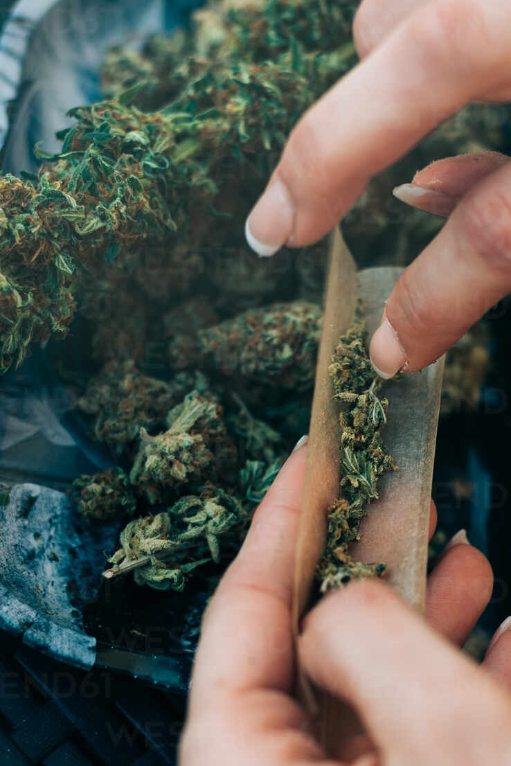 Woman preparing marijuana joint stock photo