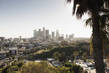 Sunny cityscape, Los Angeles, California, USA - FSIF04993