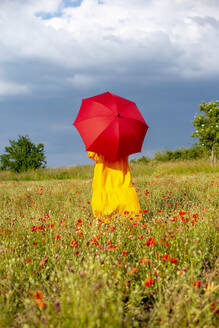 Mature woman with red umbrella standing in poppy field against sky - BFRF02268