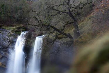 Laubloser Herbstbaum und malerischer Blick auf eine Klippe mit Wasserfall Gujuli, Spanien - ADSF05826