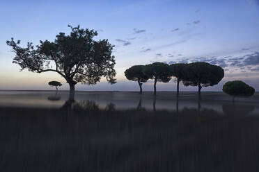 Schöne malerische Landschaft von defokussierten Baum und Sträucher in trockenen Tal gegen Sonnenuntergang Himmel, Spanien - ADSF05834