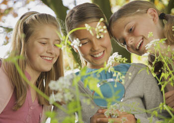 Smiling curious girls with magnifying glass examining flowers - FSIF05089