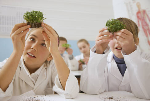 Neugierige Gymnasiasten untersuchen Pflanzen im wissenschaftlichen Labor - FSIF05107