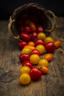 Tomaten, die aus dem Weidenkorb fallen - LVF08988