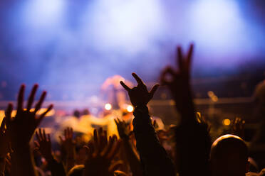 Jubelnde Menge bei einem Konzert mit einer nebligen Bühne im Hintergrund - ADSF06099