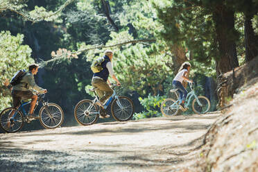 Family bike ridings in woods - CAIF28547