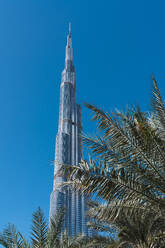 Blätter von exotischen Palmen in der Nähe von wunderschönen Wolkenkratzer gegen wolkenlosen blauen Himmel am sonnigen Tag auf der Straße von Dubai - ADSF06185