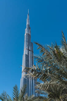 Blätter von exotischen Palmen in der Nähe von wunderschönen Wolkenkratzer gegen wolkenlosen blauen Himmel am sonnigen Tag auf der Straße von Dubai - ADSF06185