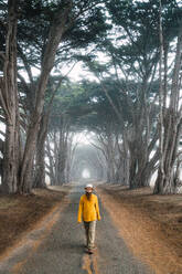 Man going on asphalt road between picturesque forest - ADSF06192