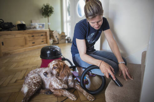 Frau mit Hund staubsaugt Teppich auf der Treppe - CAIF28584