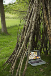 Videokonferenz auf dem Laptop-Bildschirm im Tipi der Filiale - CAIF28596