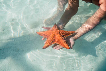 Crop hands holding starfish on bed of sea - ADSF06339