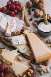 Cheese board with nuts, grapes and bread - ADSF06561