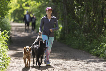 Frau mit Hunden auf sonnigem Weg im Park spazieren - CAIF28882