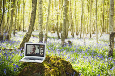 Freunde beim Videochat auf dem Laptop-Bildschirm in einem idyllischen Wald - CAIF28930