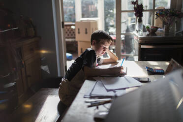 Boy doing homework at dining table - CAIF29105