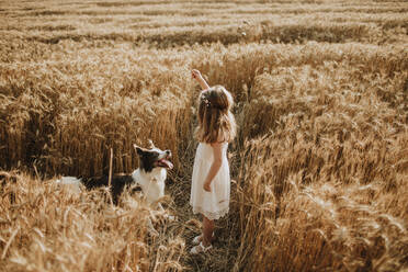 Girl playing in wheat field with border collie dog - GMLF00340