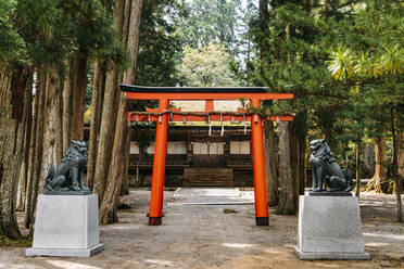 Statues besides torii gate at Koyasan, Japan - EHF00623