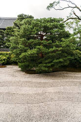 Japan, Kyoto, Japanischer Steingarten - EHF00629