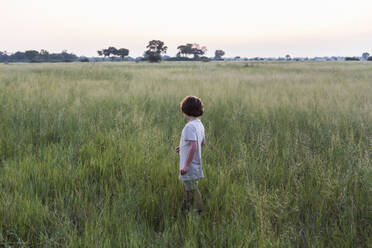 Six year old boy in field of grass, Botswana - MINF14749