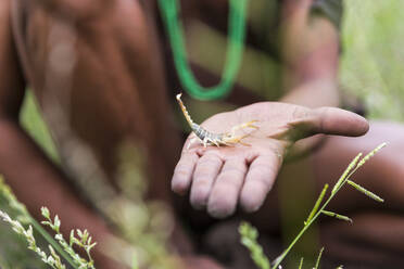 Close up of Bushman holding scorpion, Botswana - MINF14942