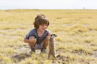 5 Jahre alter Junge beobachtet Erdmännchen, Kalahari-Wüste, Makgadikgadi-Salzpfannen, Botswana - MINF14989