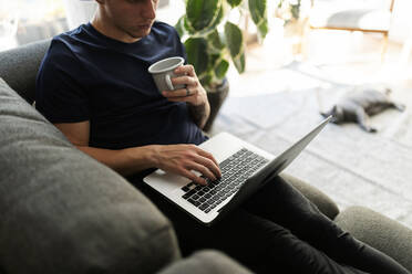Mann benutzt Laptop und trinkt Kaffee auf dem heimischen Sofa - VABF03189