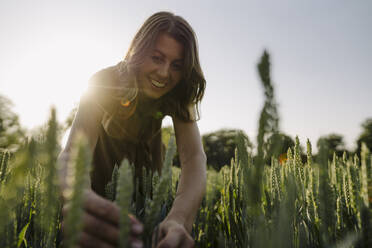 Young woman in a grain field examining ears - GUSF04262