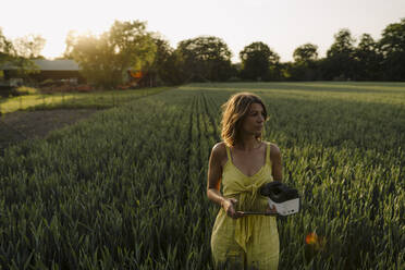 Junge Frau in einem Getreidefeld auf dem Lande mit Tablet und VR-Brille - GUSF04278