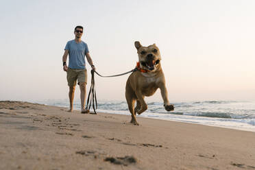 Mann mit seinem Hund läuft in der Morgendämmerung am Strand - EGAF00592