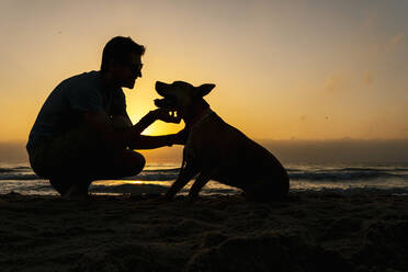 Silhouette Mann verbringt Zeit mit seinem Hund am Strand - EGAF00595