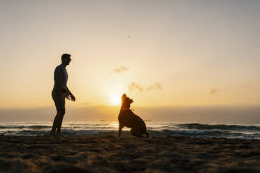 Silhouette Mann spielt mit seinem Hund am Strand - EGAF00597