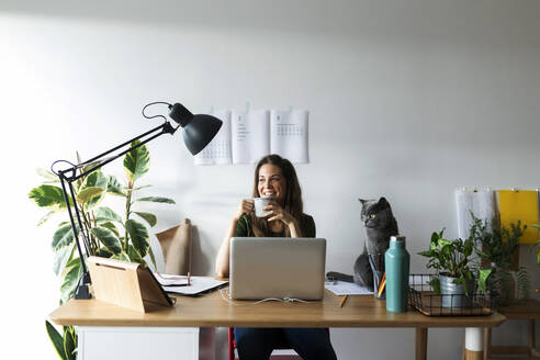 Smiling businesswoman with cat on desk having drink in home office - VABF03210