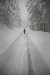 Fotograf beim Gang über die verschneite Straße - CAVF87500