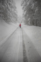 Photographer wealking over snowy road - CAVF87500