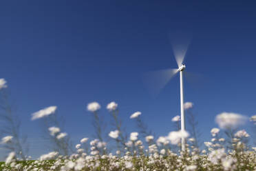 Windkraftwerk zur Erzeugung erneuerbarer elektrischer Energie in Spanien. - CAVF87574