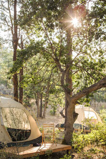 Glampingzelte unter hohen Bäumen mit Sonne, die durch die Blätter scheint - CAVF87613