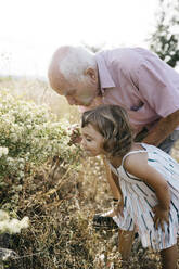 Grandfather with granddaughter smelling flowers in field - JRFF04658