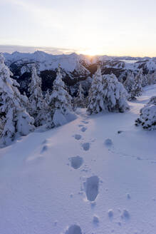 Fußspuren im Schnee bei Sonnenuntergang - MALF00037