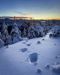 Footprints in snow at dusk - MALF00038